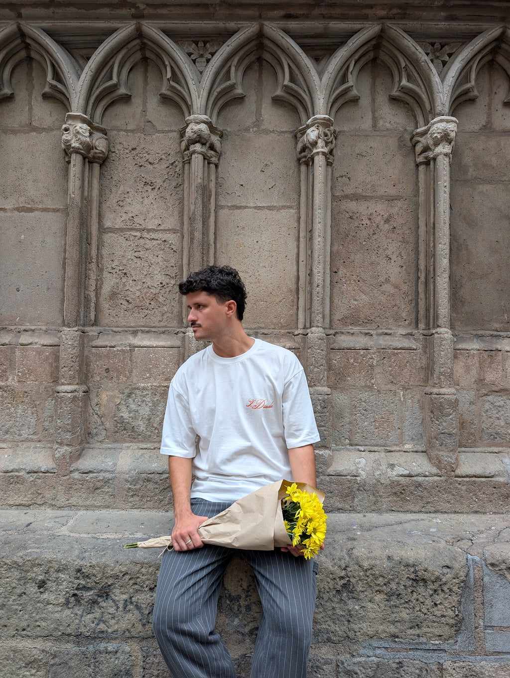 Camiseta Diada
