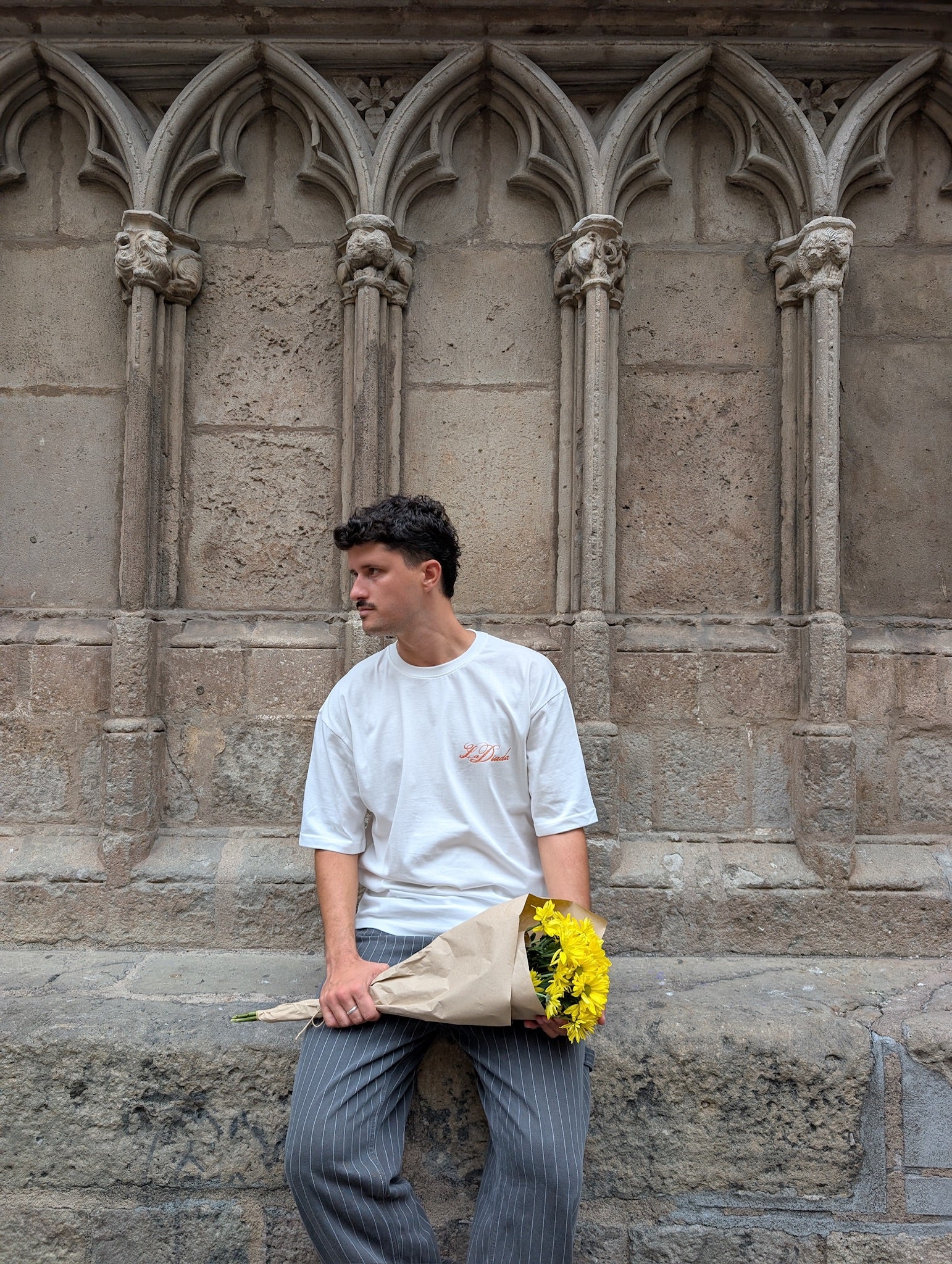 Camiseta Diada