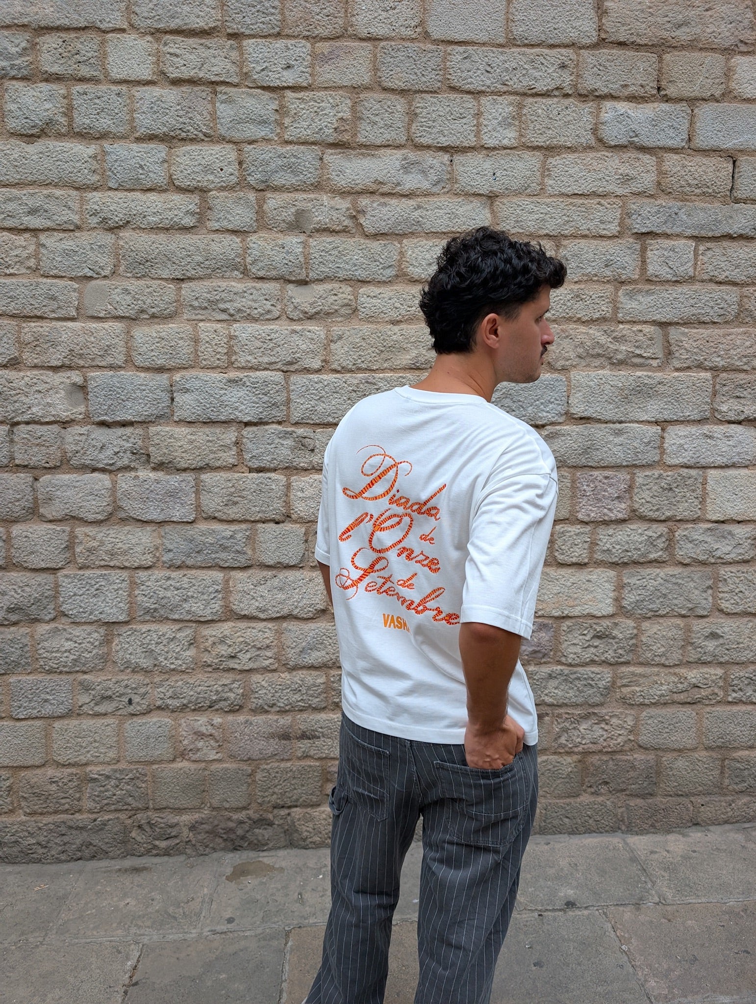 Camiseta Diada