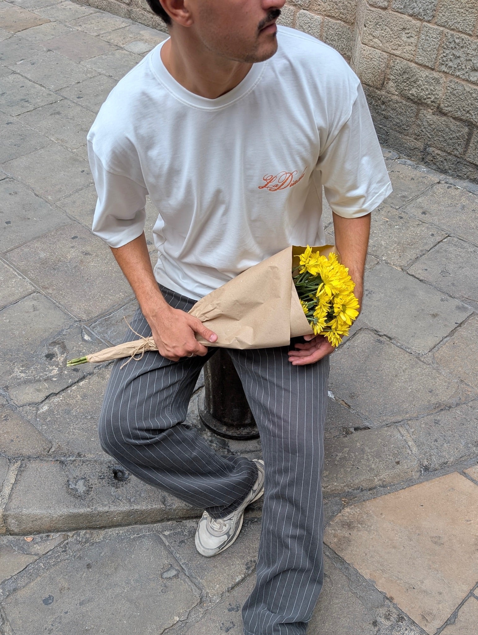 Camiseta Diada