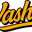 vasha.live favicon