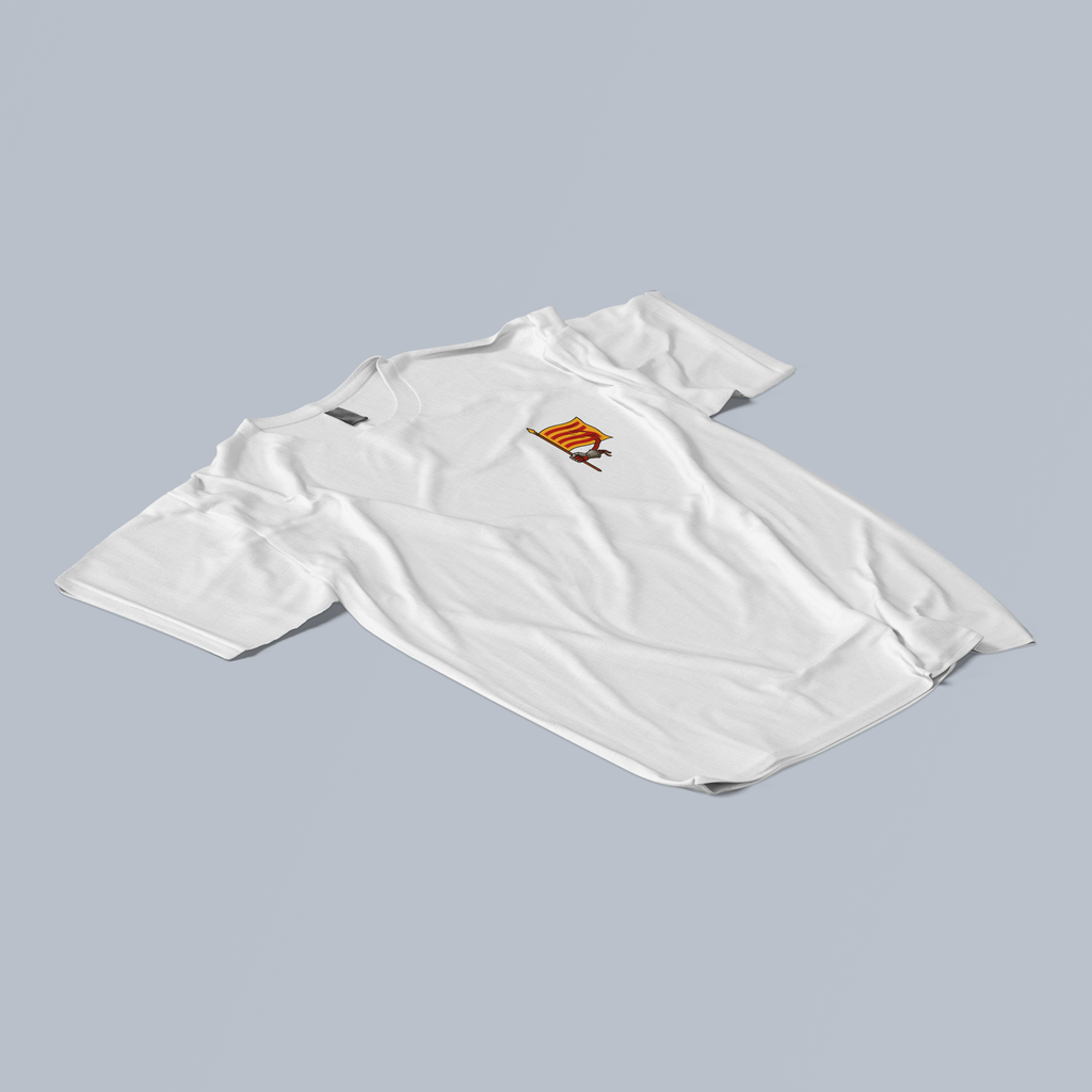White t-shirt with the flag